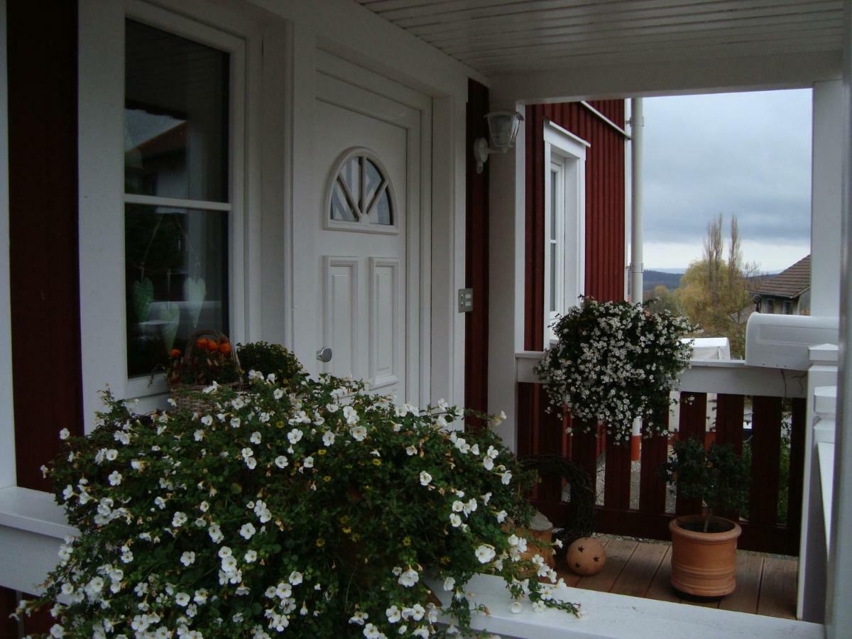 Апартаменты Haus Nordlicht Хорн-Бад-Майнберг Экстерьер фото
